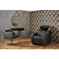 Friseur Waschplatz Holly