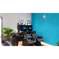 Friseur Rückwärtswaschanlage Lugano