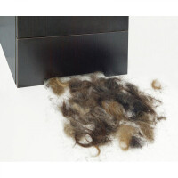 Friseur Haarsauger R´Spiro Silver 13