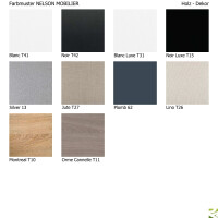 Friseur Haarsauger R´Spiro Silver 13